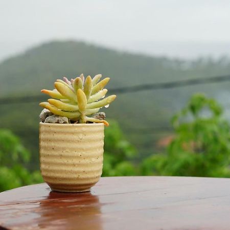 May Lang Thang - Wandering Clouds Đà Lạt Ngoại thất bức ảnh